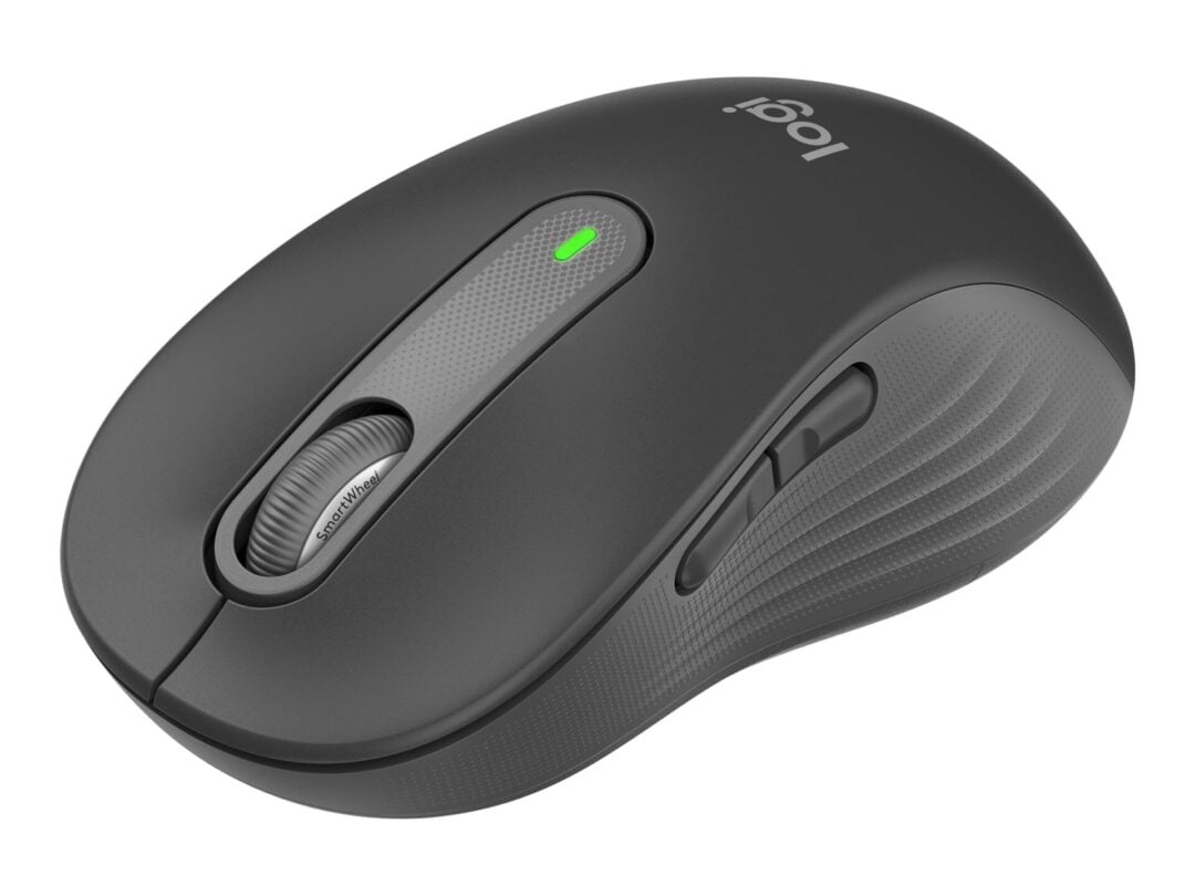 Logitech Signature M650 L for Business GRAPHITE
